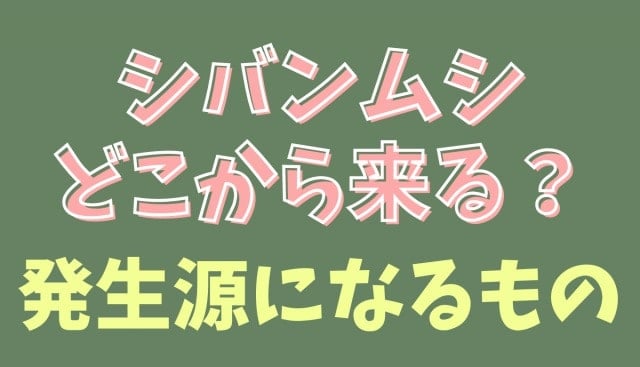 シバンムシはどこから入ってくる？シバンムシ 駆除 | 発生源になりやすいものに注意！