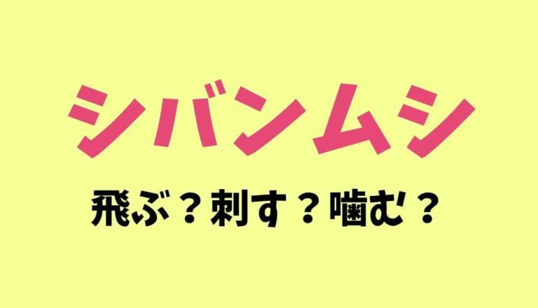 シバンムシ 発生源 わからない
