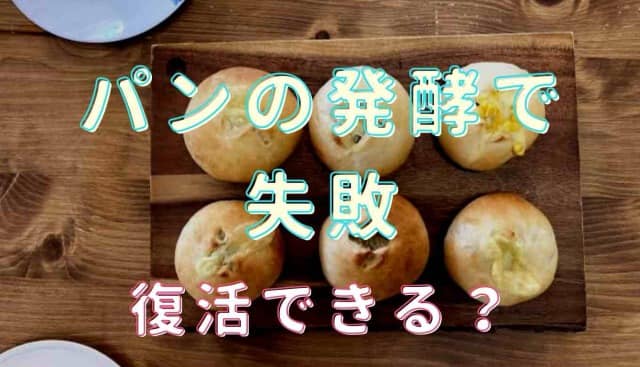 パン 一次発酵 失敗 したら